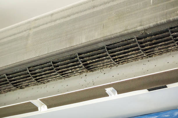 Best Air Vent Cleaning Services  in Hillsborough, NC